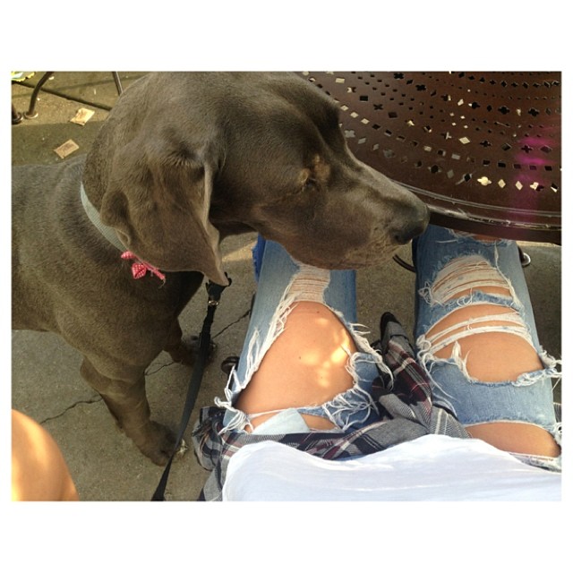 me & blue take urth...