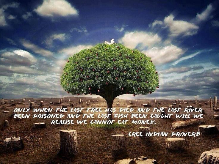 earth is our biggest work of art, how could we just watch as it's being torn up?...