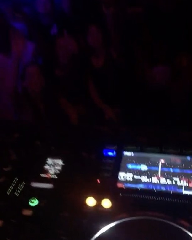 x  @cashmerecat ...