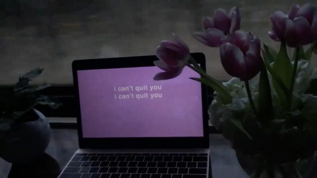 ♡ 
@cashmerecat #Quit 9⃣...