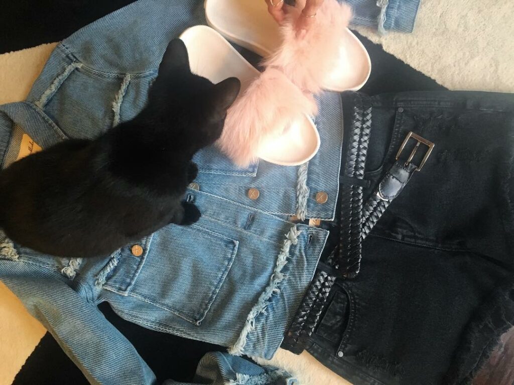 My cats have made friends with my fluffy slides. 
Thanks @darling for creating s...