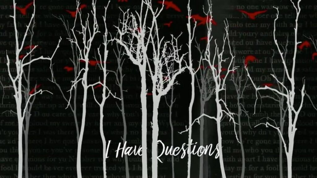lyric video for #ihavequestions  is out now on @vevo [ link in bio ]...