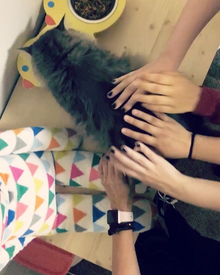 so pure...