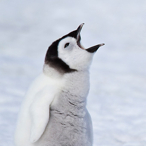 we all had a great time on stage tonight thank you ...