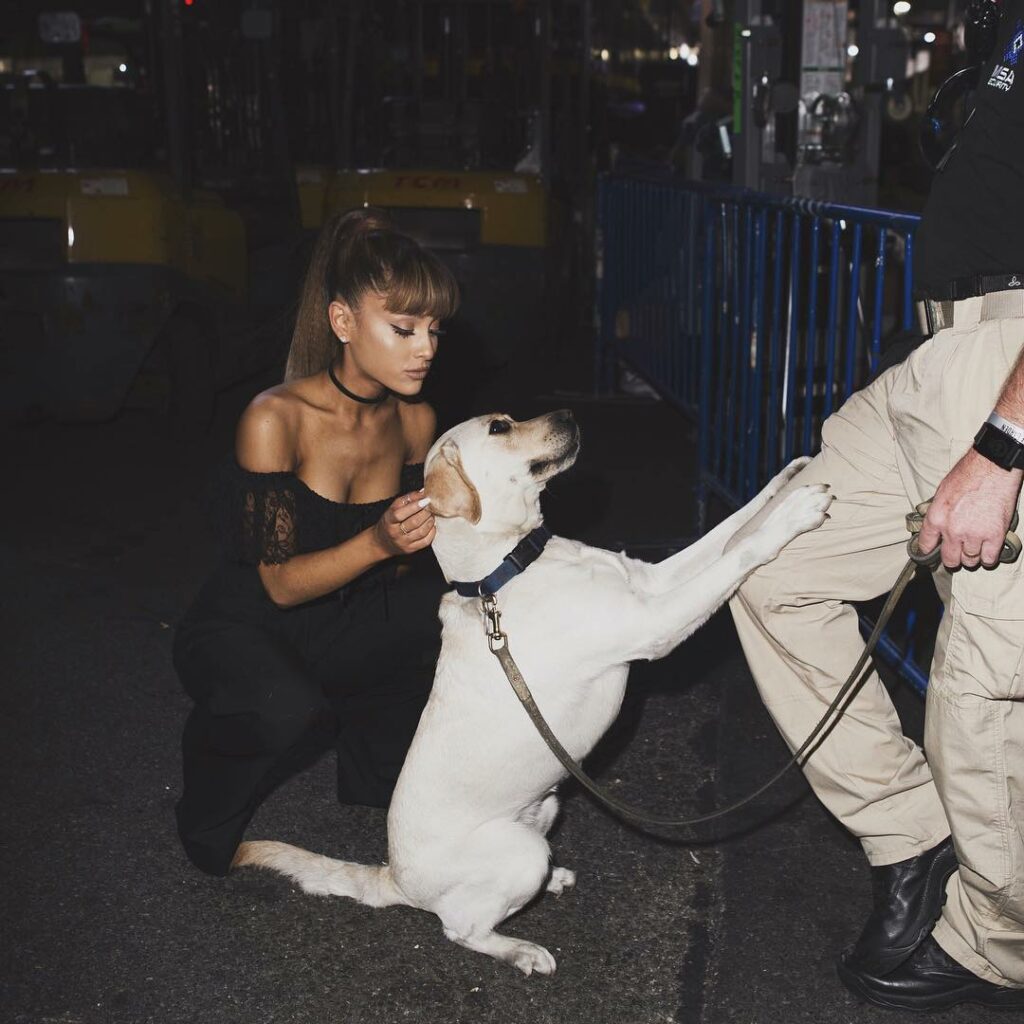 Last year @vmas 
Happy #VMAs Day everyonnneee! We so wish we could be there with...