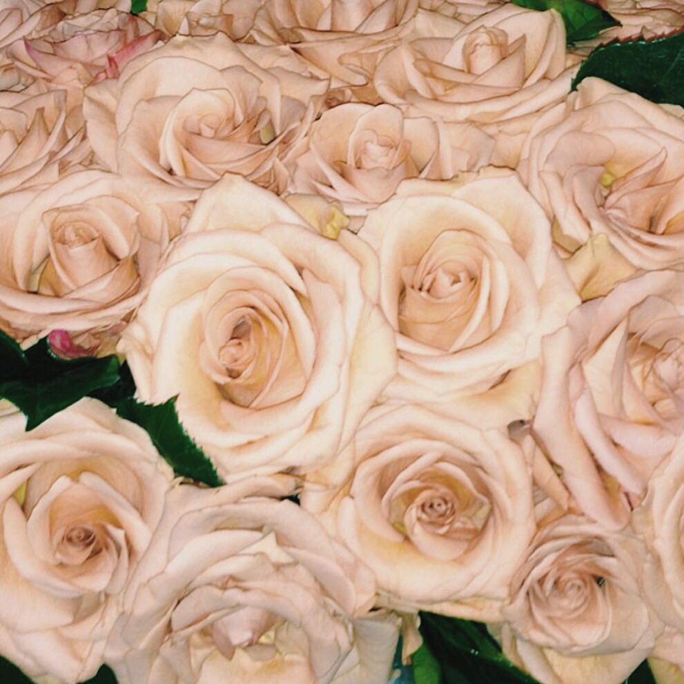 Good Morning...