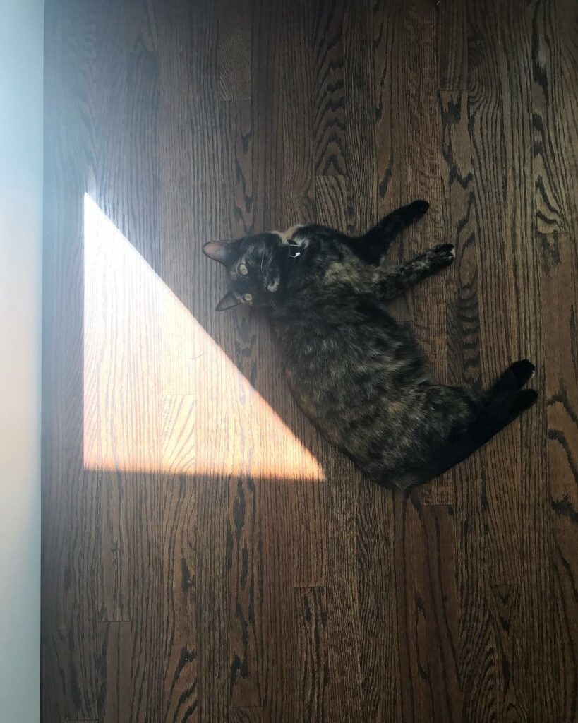 when ya girl knows her angles...