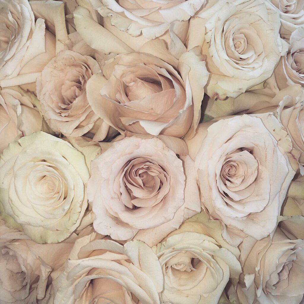 Wake up & smell the roses......