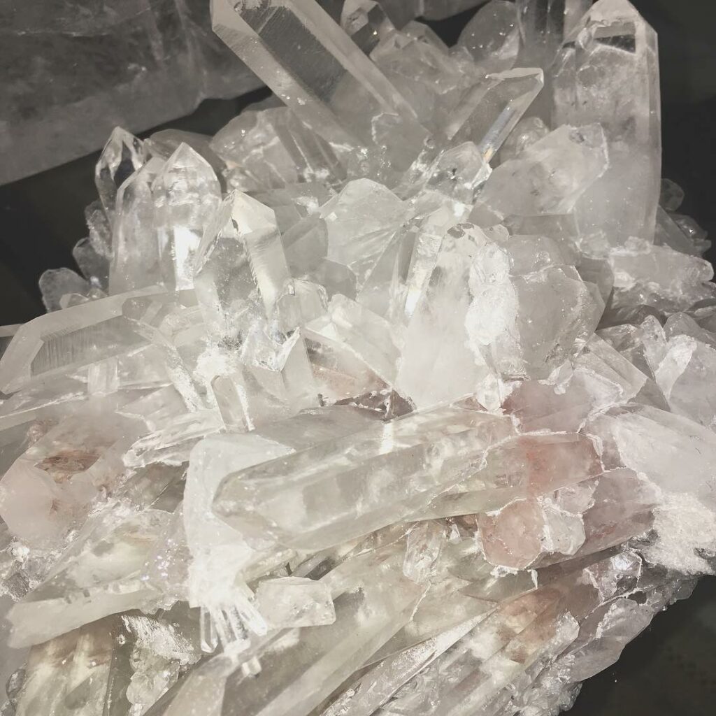 Crystal Gardenia...
