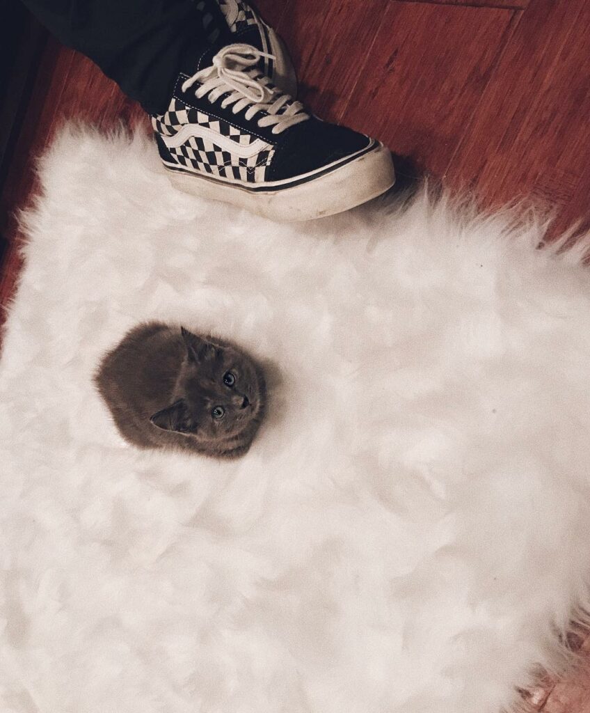 Imagine being smoller than a shoe. So gentle, so mighty...