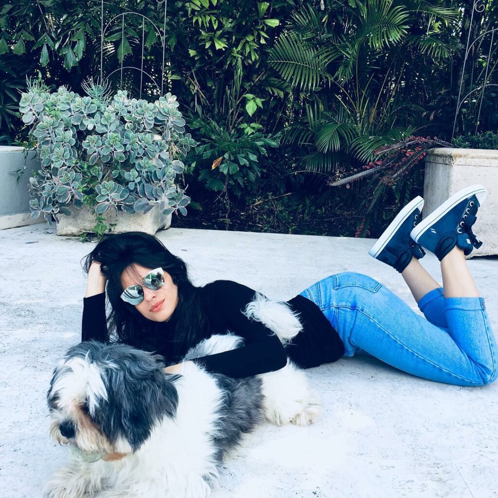 i miss this lil guy (his name's Leo) #CamilaXSkechers...