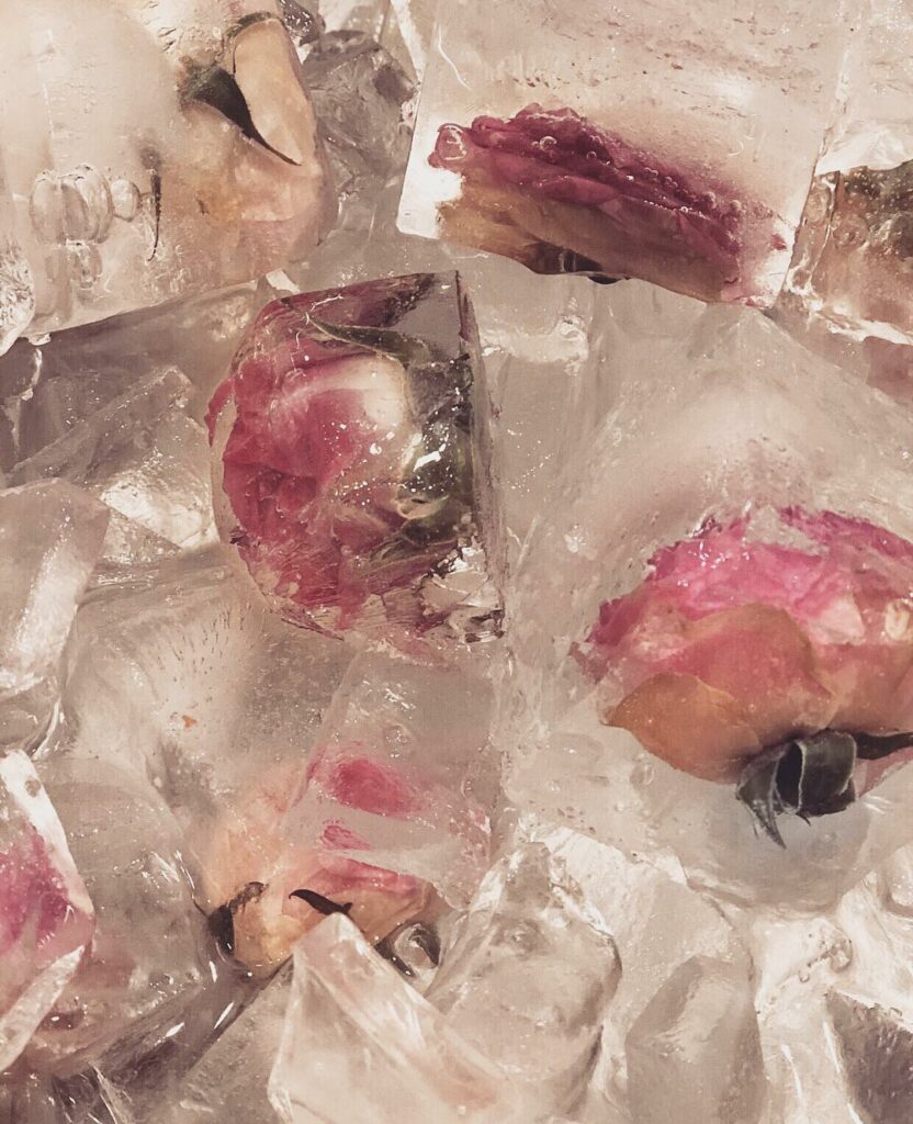 The ice cubes at my baby shower!...