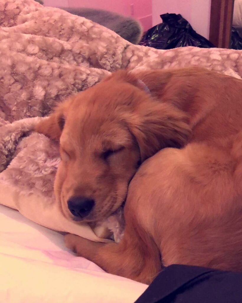 COMIN OUTTA MY CRATE AND I BEEN DOING JUST FI...