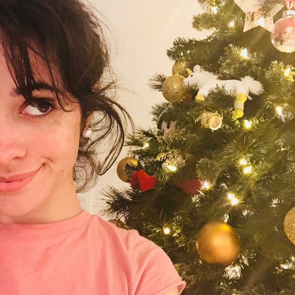 guys I️ don’t want anything for Christmas just turn my music on in the ca...