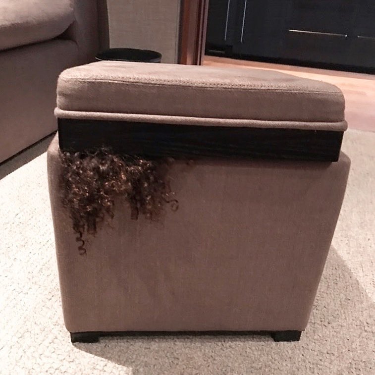 North is the hide & seek champ! ...