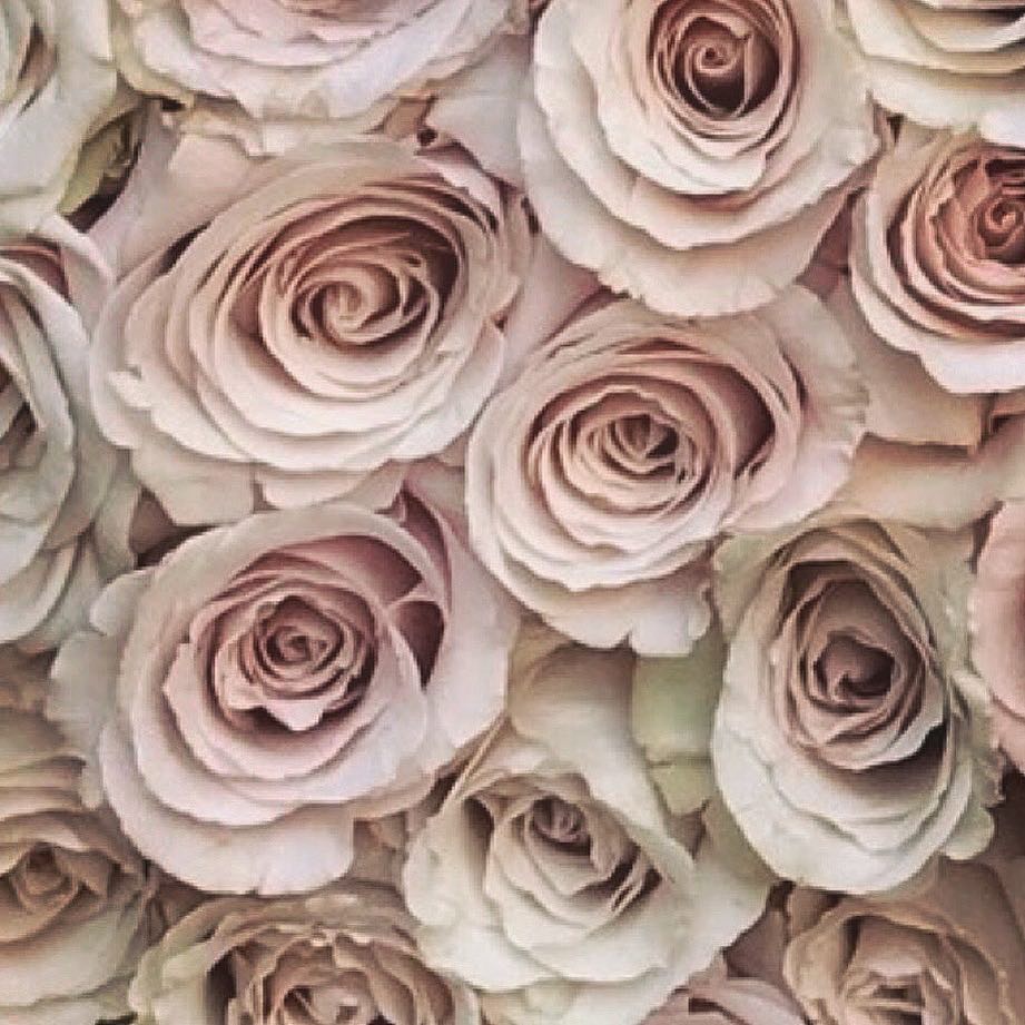 Blush flowers are my thing...