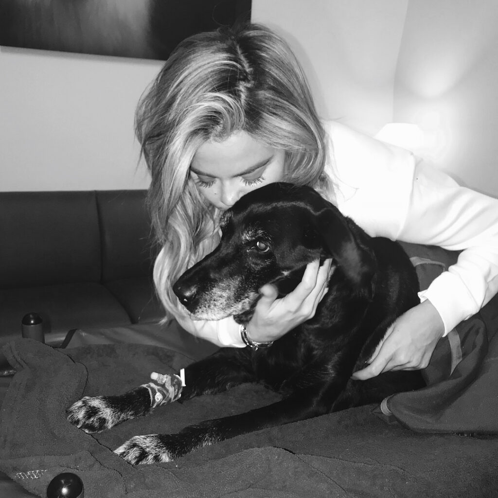 Last night my sweet Gabbana passed away  She was more than a pet. She was my fir...