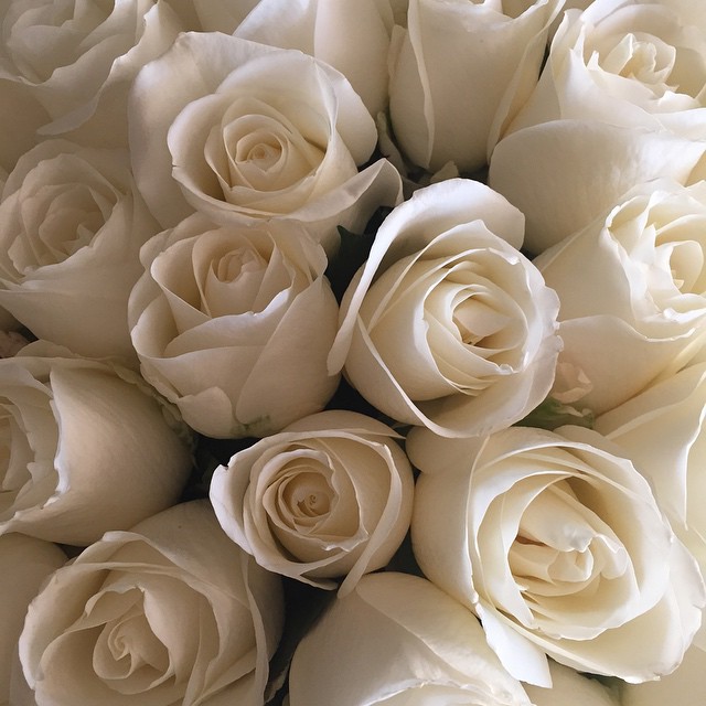Beautiful birthday flowers!...