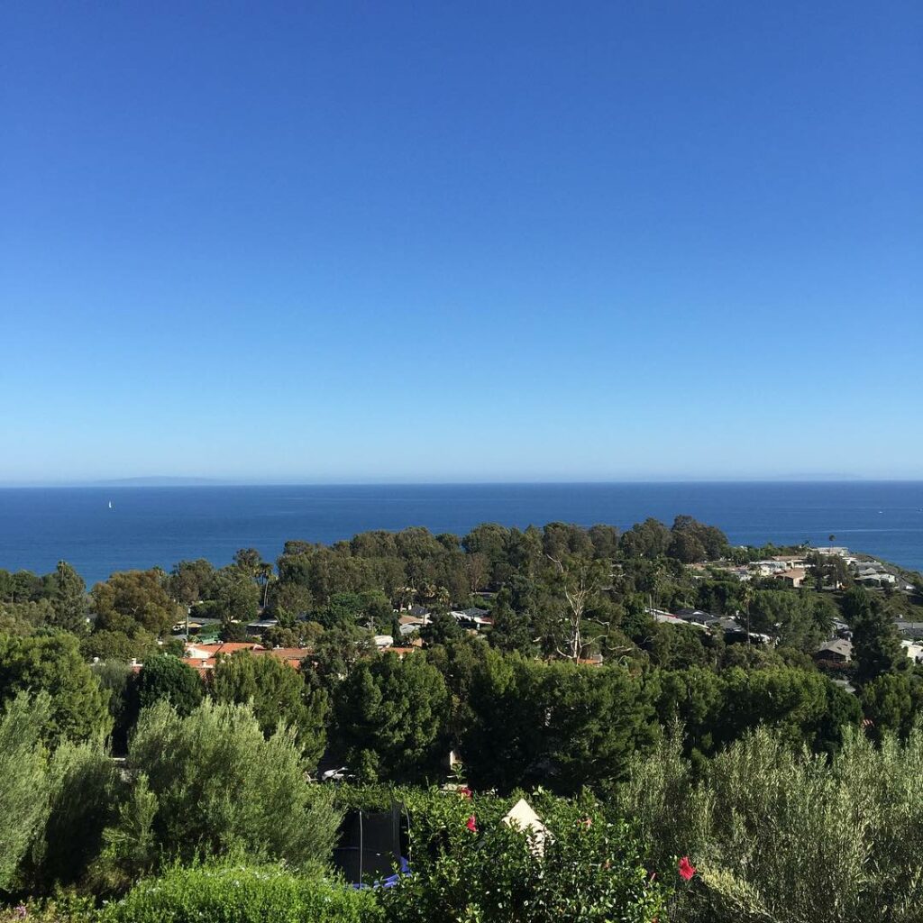 View....