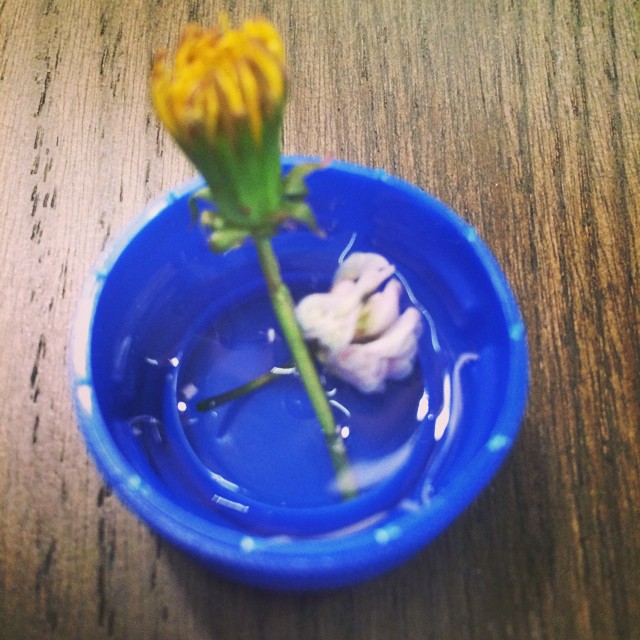 Mommy joys. Finding cute little flowers in a cute little water cap next to my be...
