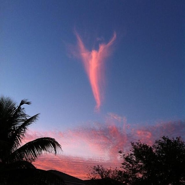 Regram from @iamdiddy  #powerful #angel...