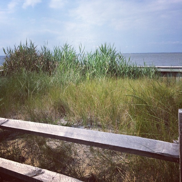 Fire island....