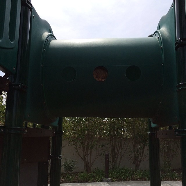 Peek a boo....
