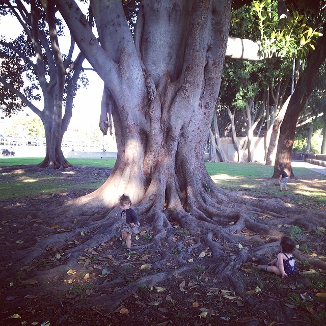 Playing in the trees.  #NaturalHistoryMuseum...
