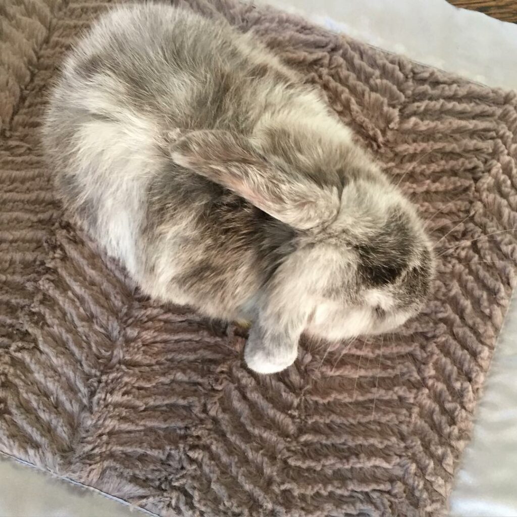 Snowflake says goodnight....
