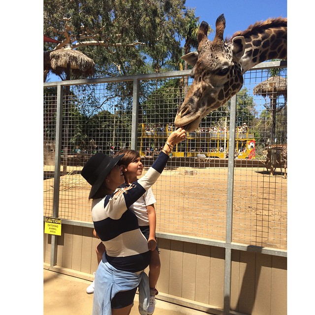 Another fun day at the @sandiegozoo!!!...