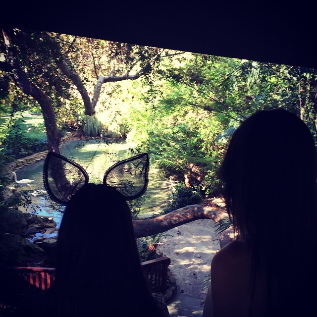 Just watching the swans with my beautiful birthday sister @kendalljenner and som...