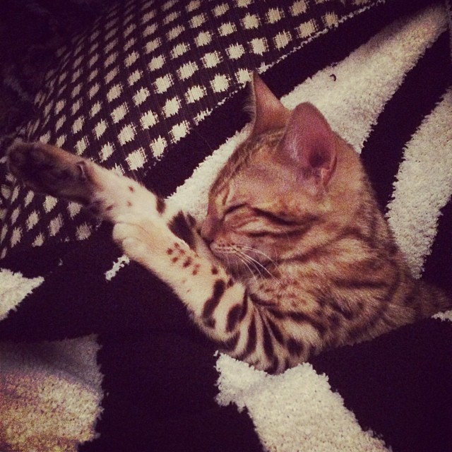 Nap time....