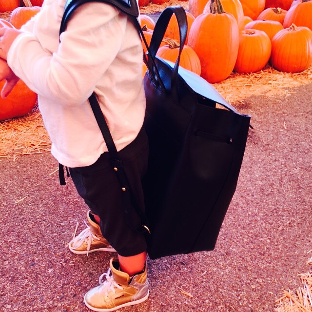 Pumpkin patch vibes. ...