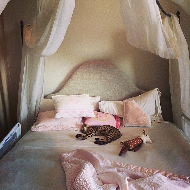 She's a princess....