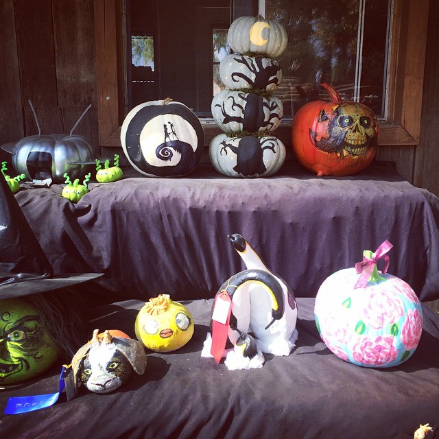 Fancy pumpkins. #jackAndSally #underwoodFarms...