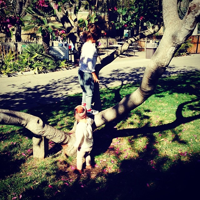 Climbing s at the Zwith @joycebonelli !...