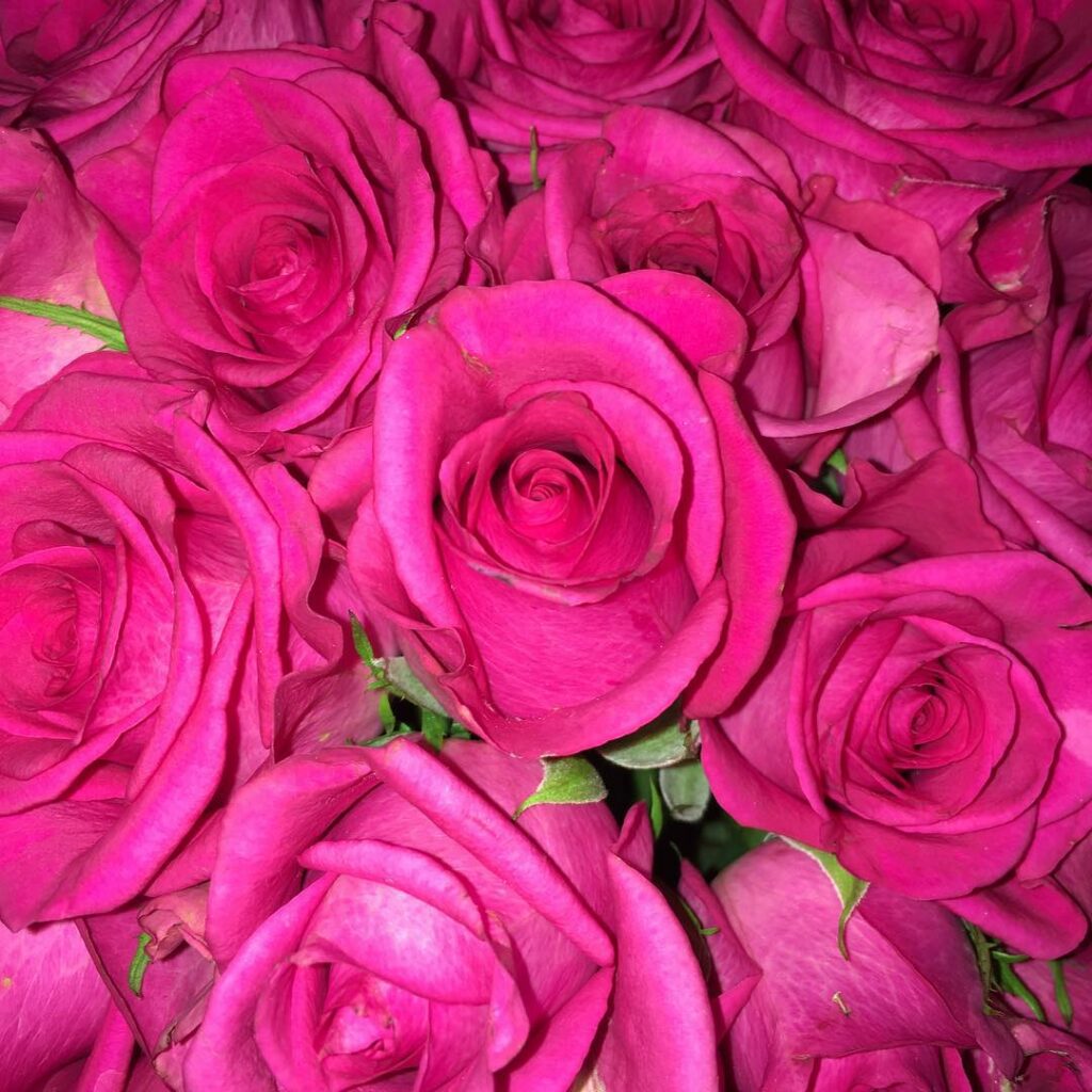 Good morning!...
