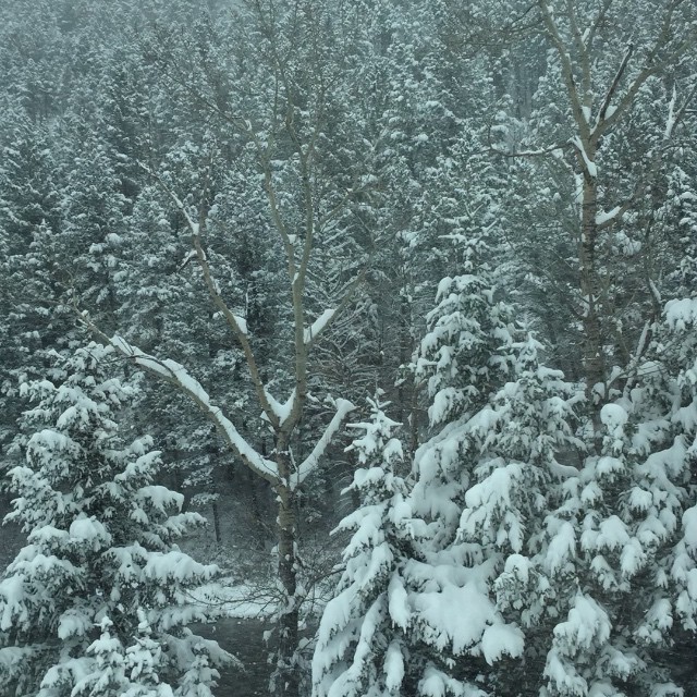 #montana...