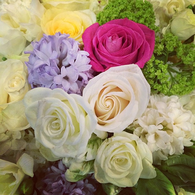 Beautiful! Thank you! @lovesydneyrose @makenzie_r ...