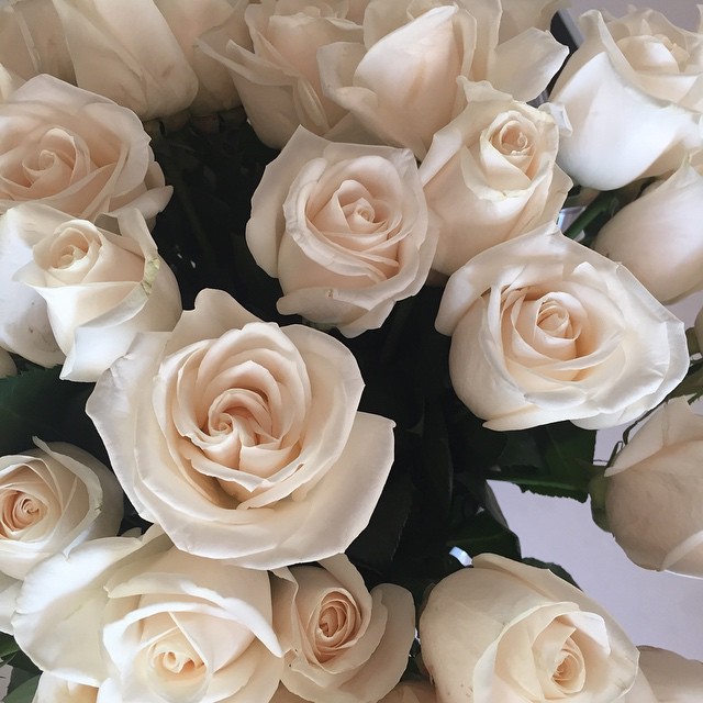 Birthday roses already!...