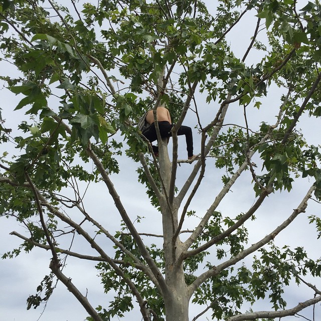 A little tree meditation courtesy of Mateo....