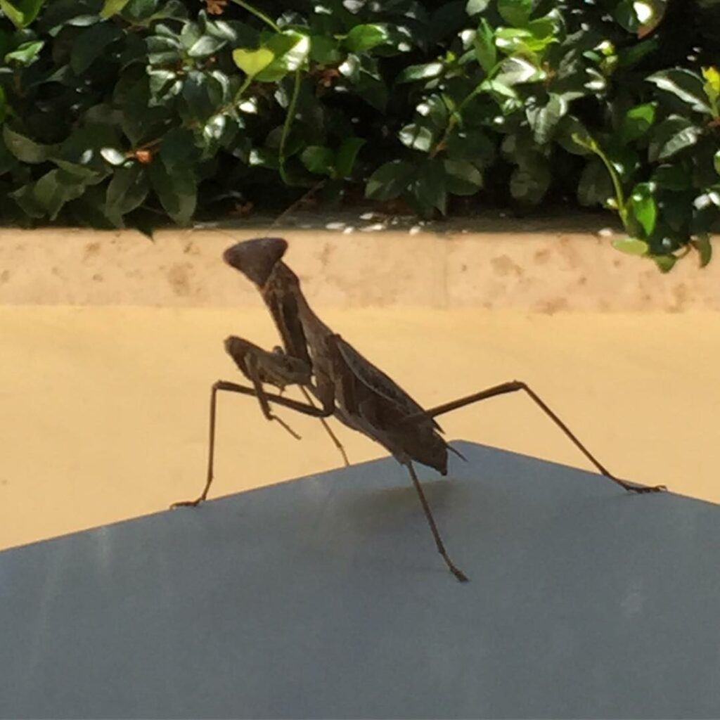 This guy was feelin me. Isn't he good luck?...