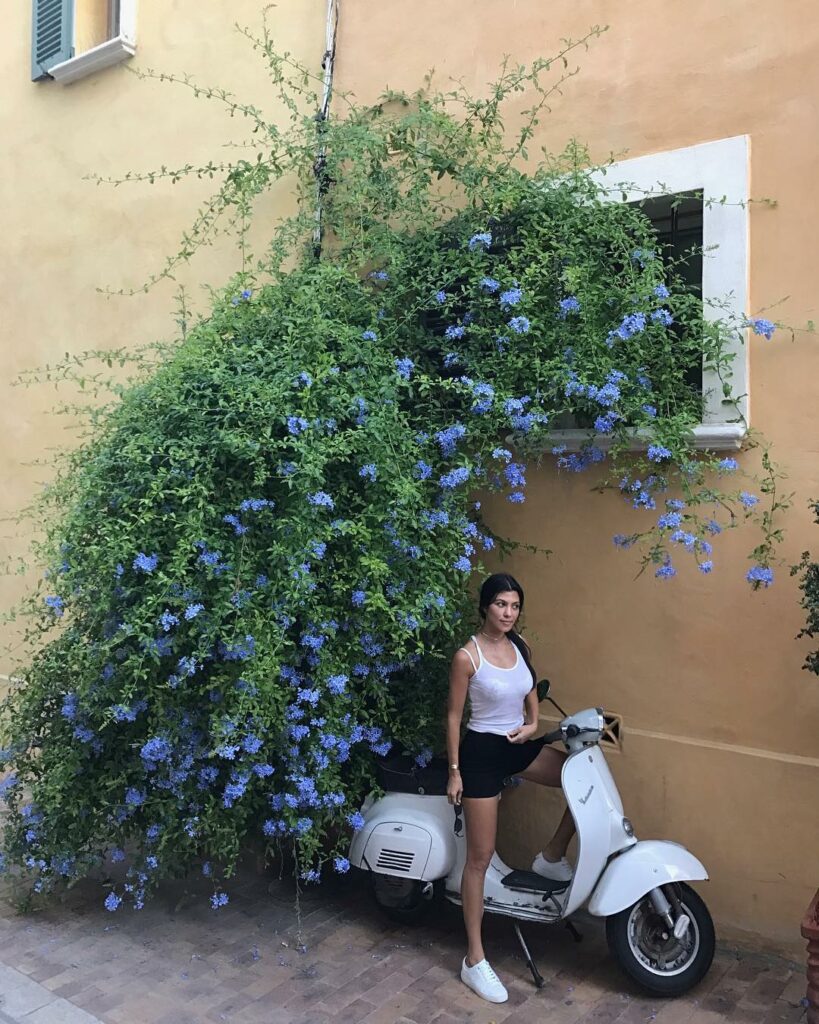 Baby, we should hit the south of France...