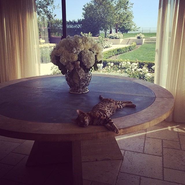 Nap time....