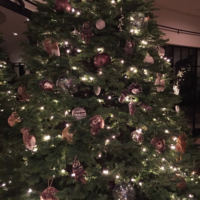 Decorating day one...@richken4 worked some magic since I should not be up on a l...