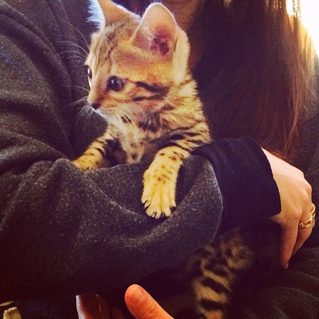Wishing everyone a very Merry Christmas! Our newest member of the family. ...