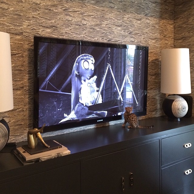 Kitty is super into Frankenweenie....