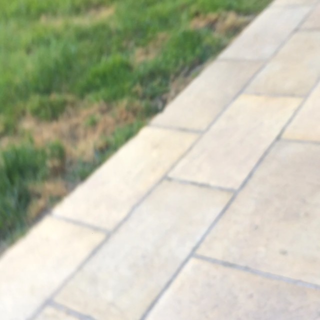 These videos I find on my phone are amazing....