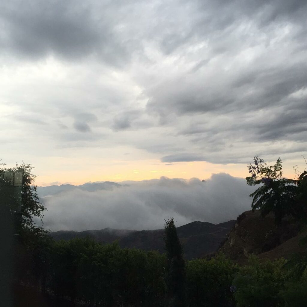 Perfect rainy Saturday....