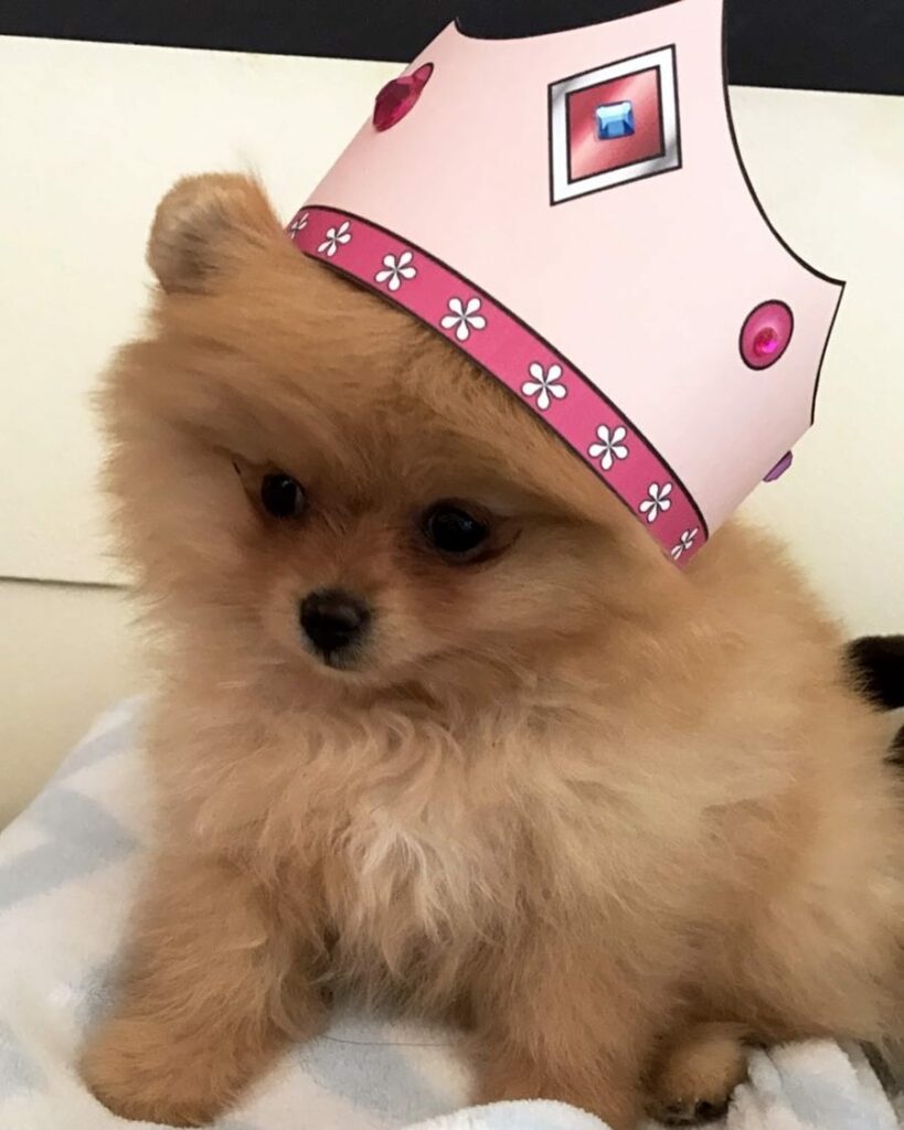 her name is honey...